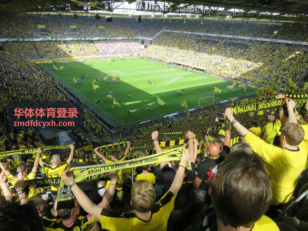 华体体育登录平台账号登录异常支持说明